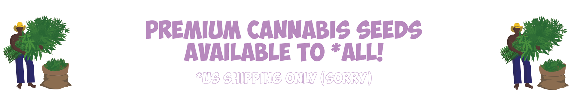 premium cannabis seeds available for shipping in the US