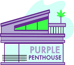 purple penthouse dc