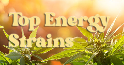 top energy strains