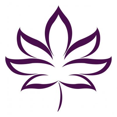 cannablis dc dispensary