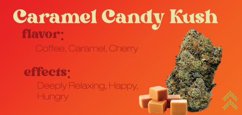 Caramel Candy Kush strain review