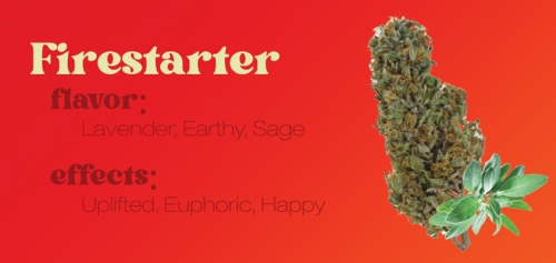 Firestarter strain review