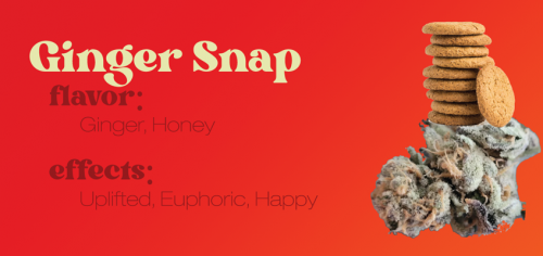 Ginger Snap strain review