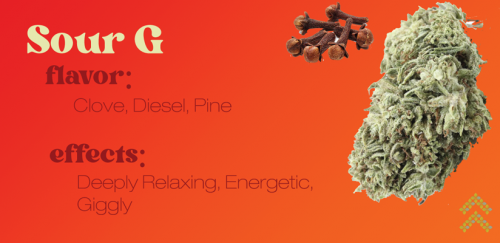 Sour G strain review