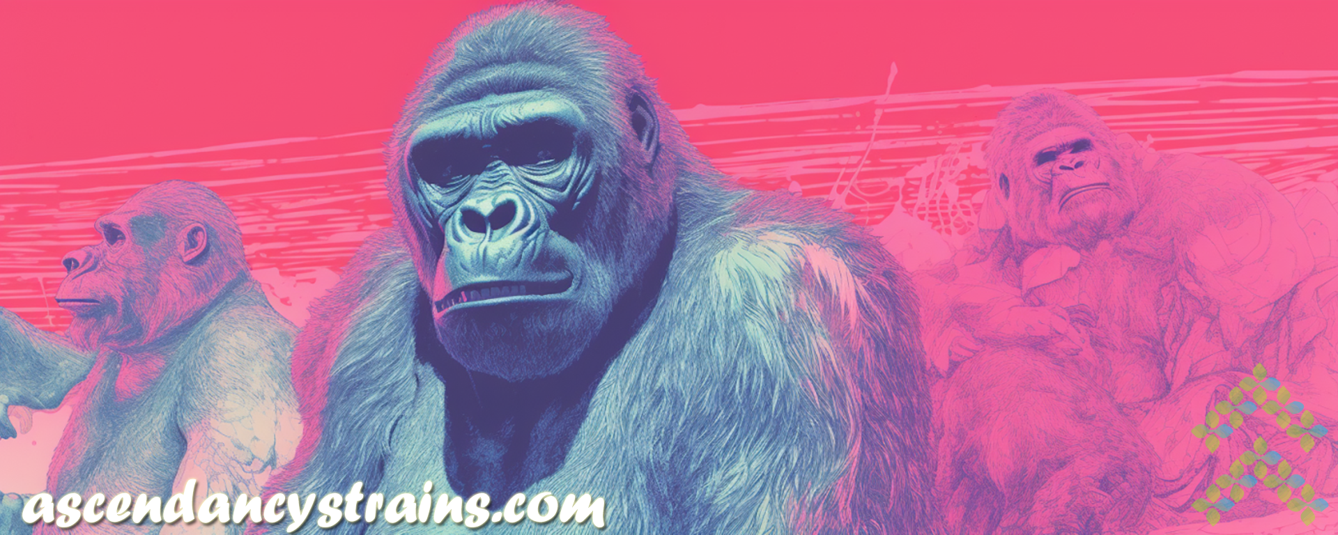 Gorilla Glue strain review