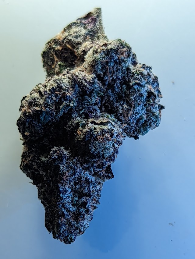 Blue Diesel strain from Bagged Buds, DC