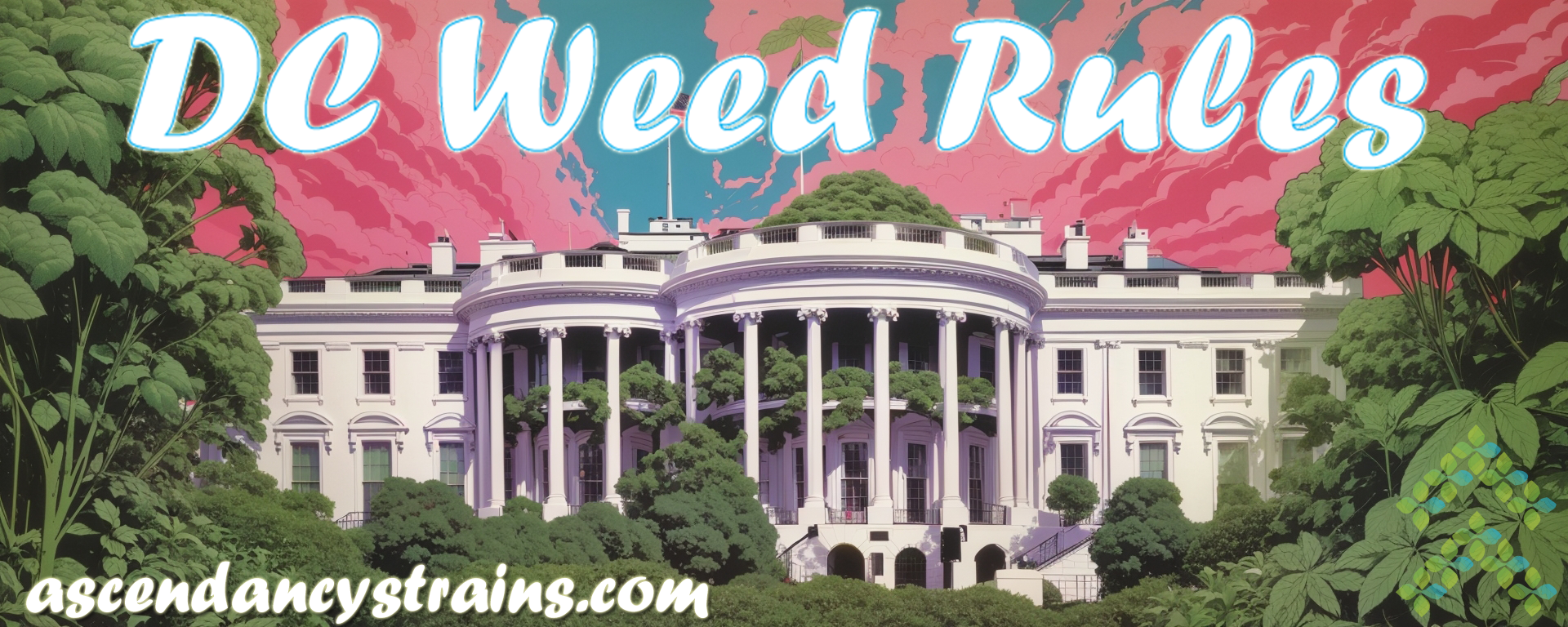 Washington DC weed laws rules