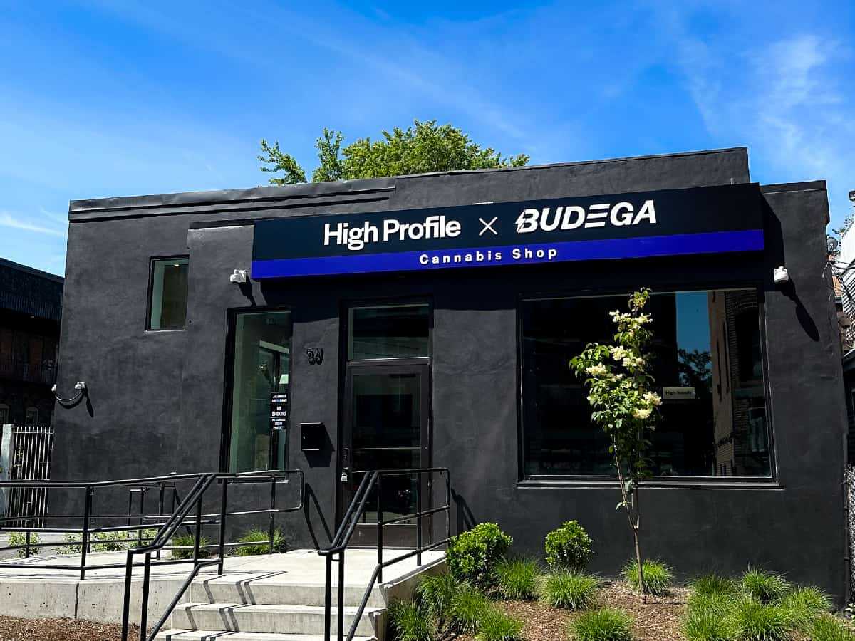 High Profile x Budega Cannabis Dispensary Boston