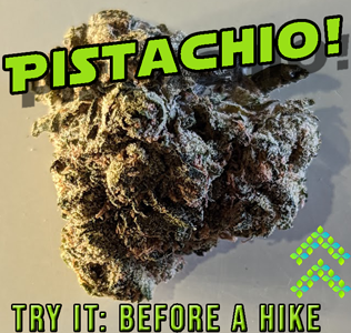Pistachio strain review