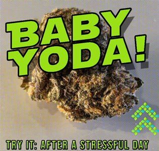 baby yoda strain review try it after a stressful day