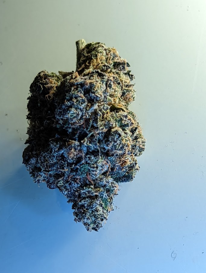 omerta strain cannabis