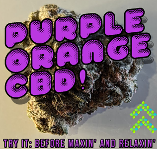purple orange cbd strain review