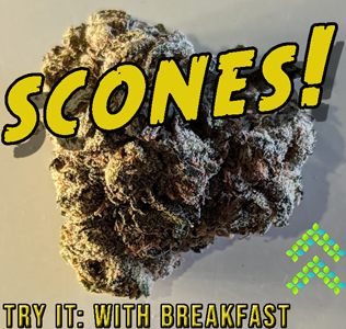 scones strain review