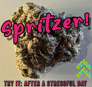 spritzer strain review