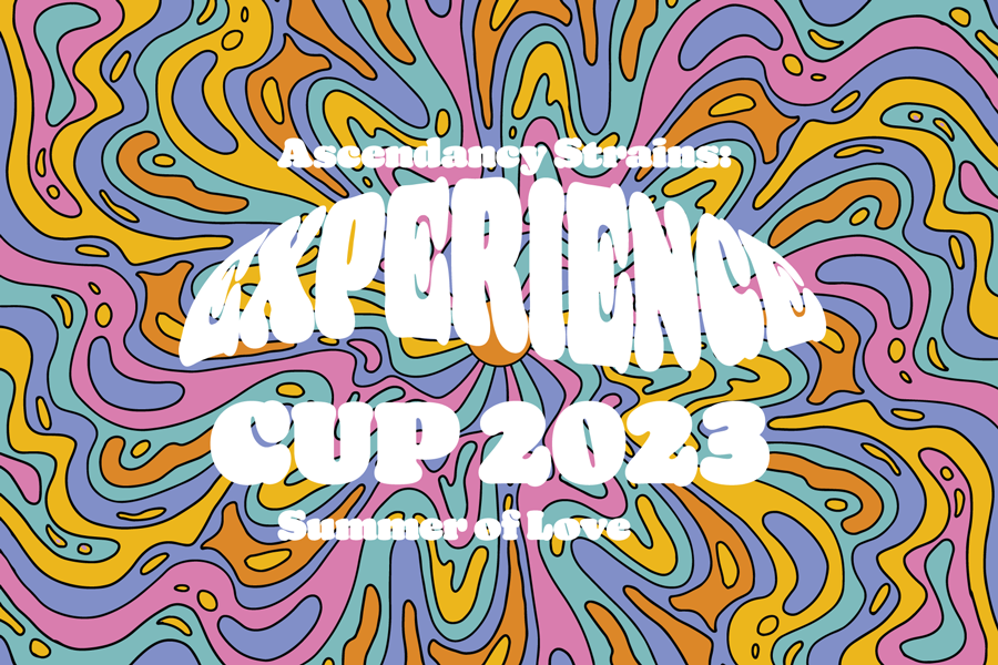 summer of love experience cup 2023