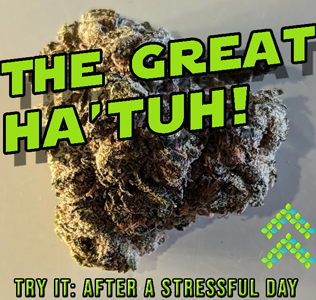 the great ha tuh strain review