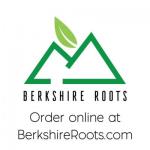 Berkshire Roots Adult Use - Boston logo