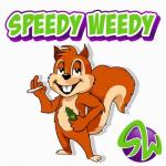 Speedy Weedy - Santa Ana logo