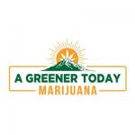A Greener Today - South Seattle LOGO